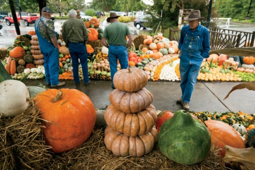Pumpkin Harvest Display in Jackson, TN