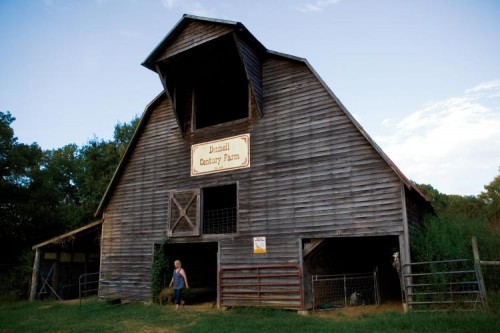Donnell Century Farm in Jackson, Tennessee