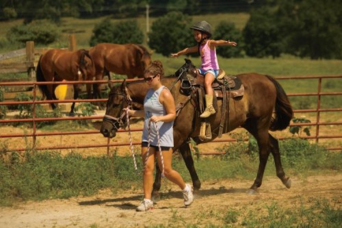 Horseriding at Tap Root Farm camp