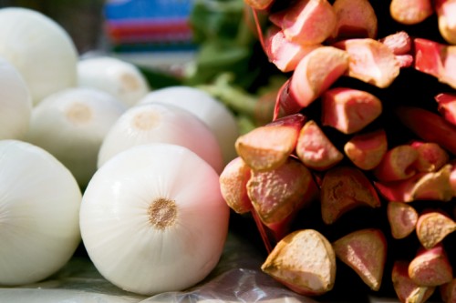 Seven Springs Farm in Tennessee grows rhubarb and onions
