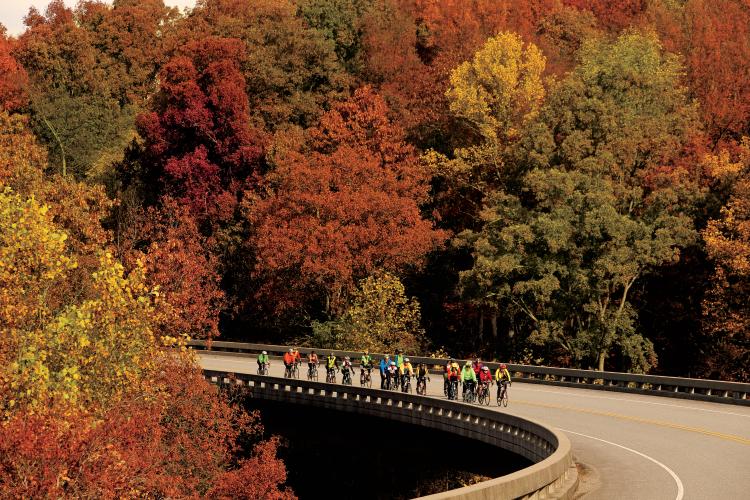 Natchez Trace Parkway Bicycle Trail