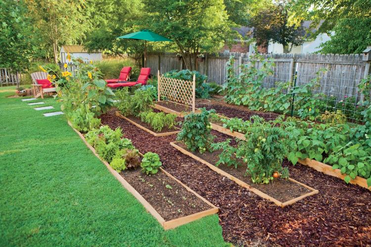 Edible Landscaping How To Eat Your Yard, Edible Landscaping Plants