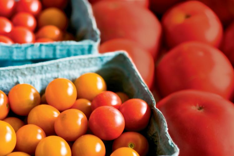 Farm Facts: Tomatoes