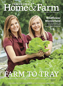 TN Home and Farm Spring 2014