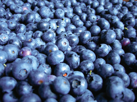 Blueberries and Bar-b-que