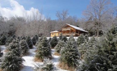 Wildwood Christmas Tree Farm