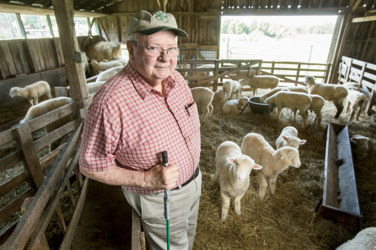 sheep farmer Ben Powell