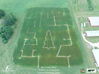 Tennessee Corn Mazes - TN Christmas Trees