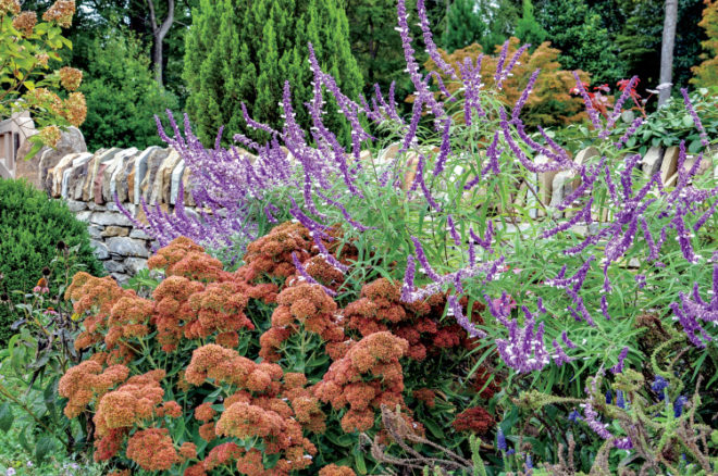 Must Plant Perennials For Fall