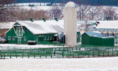 winter farm