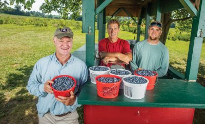 Brothers Patrick and Jon Kelley, along with Jon’s son Hunter, right, and other family members, run Kelley’s Berry Farm in Castalian Springs.