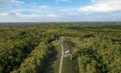 Amber Falls Winery in Hampshire Tennessee