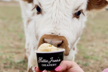Hattie Jane's Creamery; Tennessee Ice Cream Trail